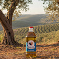 Gallo Classic Extra Virgin Olive Oil Pet 2L